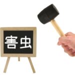 外壁塗装で虫除け対策！虫が寄り付かない塗料と色選びのポイント